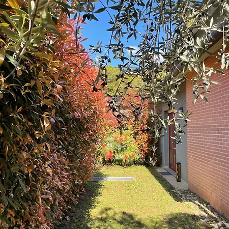 L'ulivo Di Apartment Como