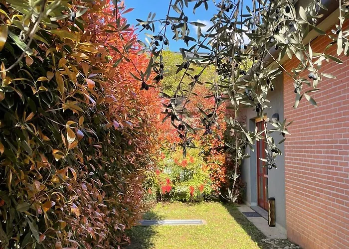 L'ulivo Di Apartmán Como
