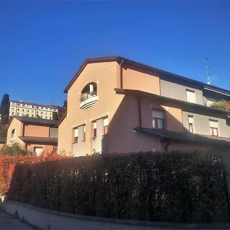L'ulivo Di Daire