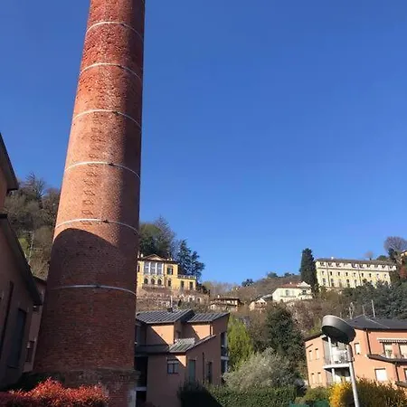 L'ulivo Di Daire *